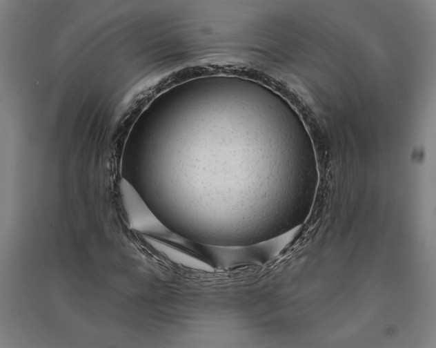 X0000091100920200708201516