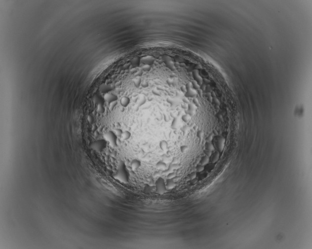 X0000091100921200708201516