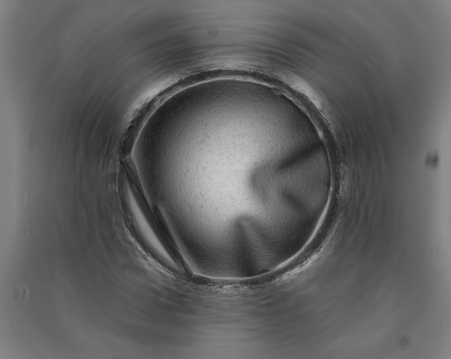 X0000091100922200708201516