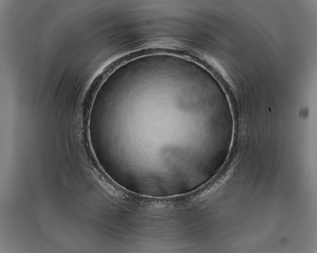 X0000091100923200708201516