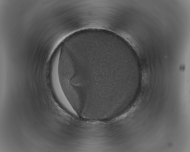 X0000091100926200708201516