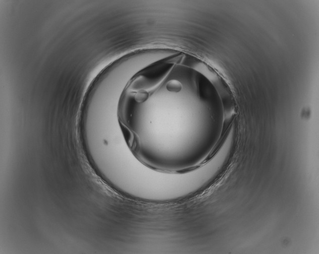 X0000091100928200708201517