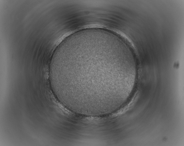 X0000091100929200708201517