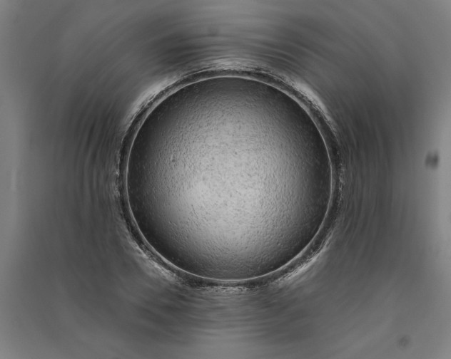 X0000091100930200708201517