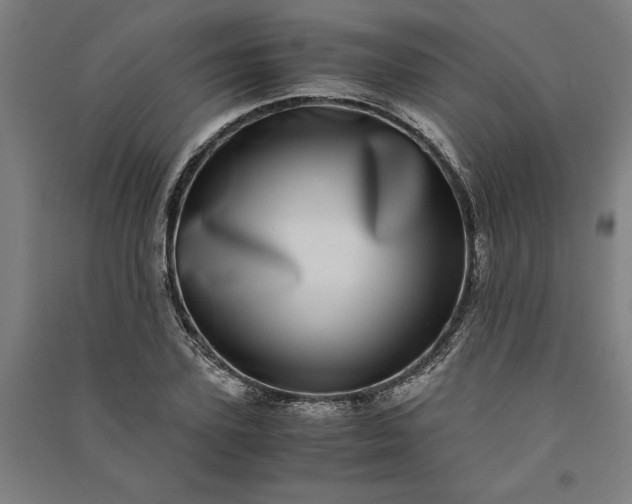 X0000091100931200708201517