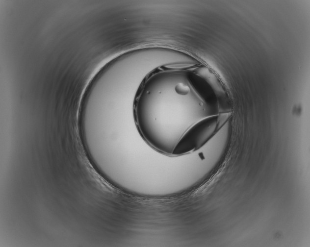 X0000091100932200708201517