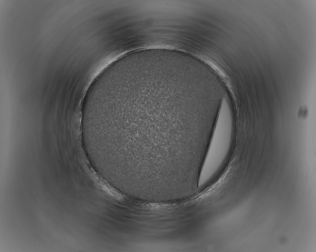 X0000091100933200708201517