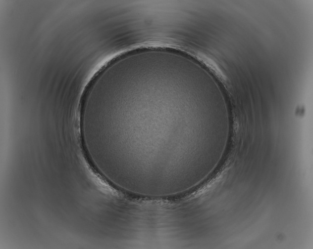 X0000091100934200708201517