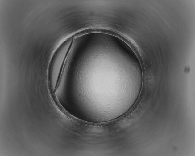 X0000091100935200708201517