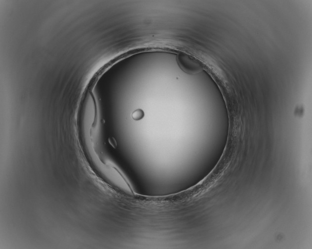 X0000091100936200708201517