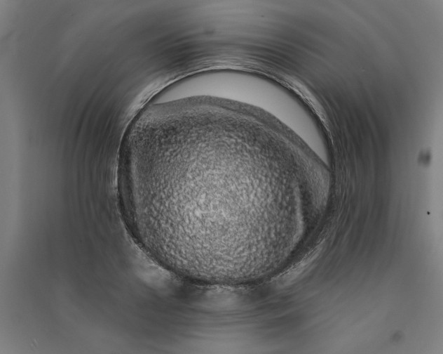 X0000091100938200708201517