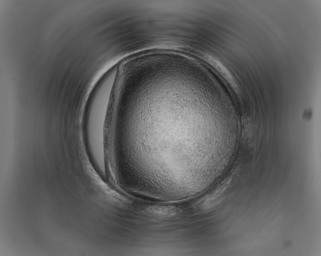 X0000091100939200708201517