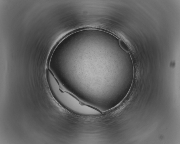 X0000091100940200708201517