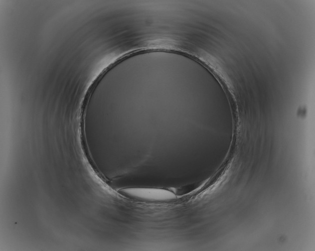 X0000091100941200708201517