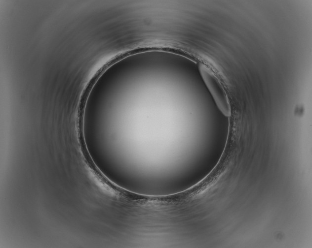 X0000091100942200708201517