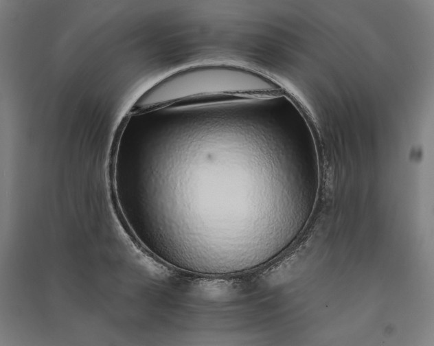 X0000091100943200708201517