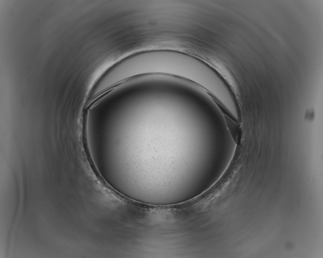 X0000091100944200708201517