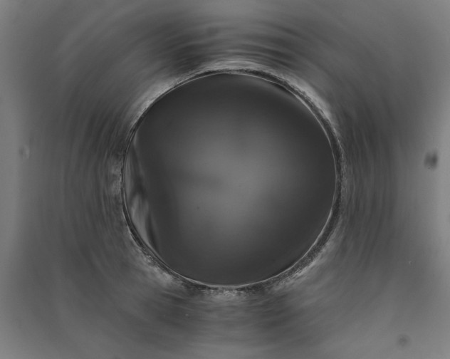 X0000091100945200708201517