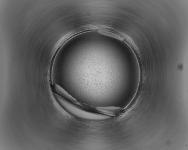 X0000091100946200708201517