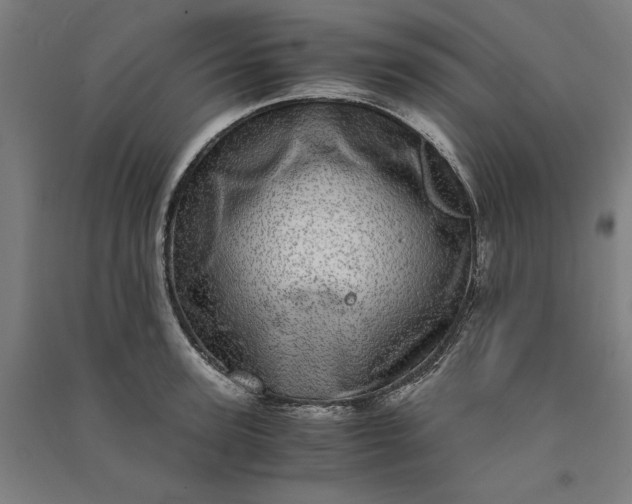 X0000091100947200708201517