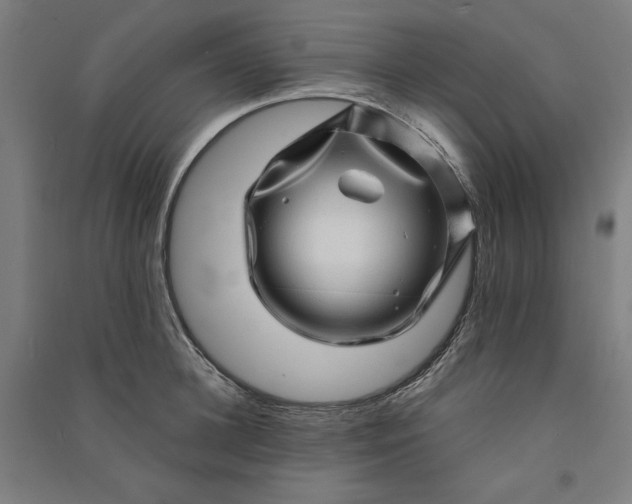 X0000091100948200708201517