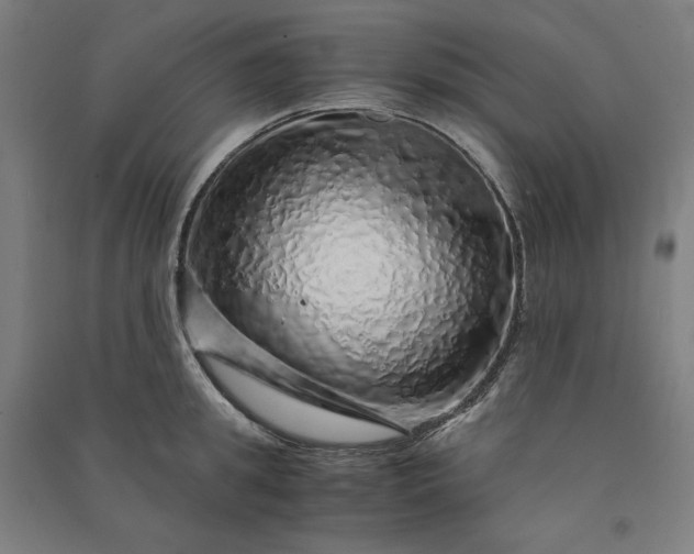 X0000091100949200708201517