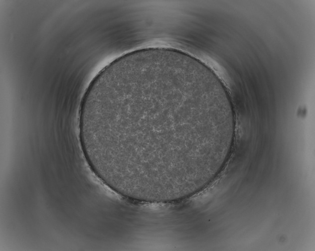 X0000091100950200708201517