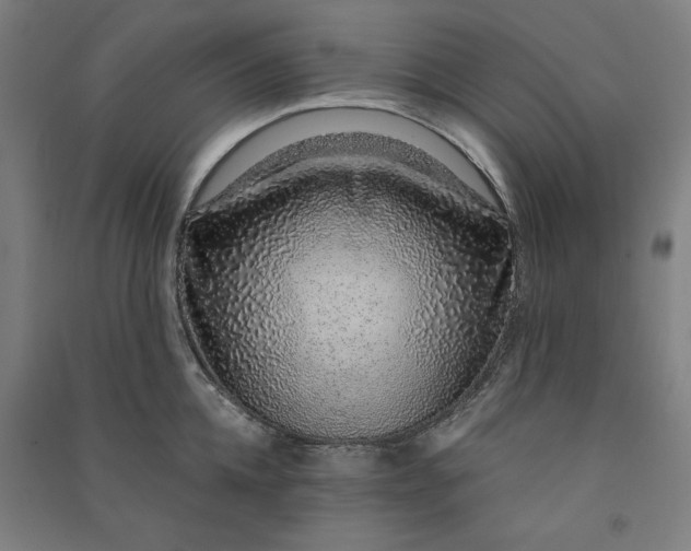 X0000091100952200708201517