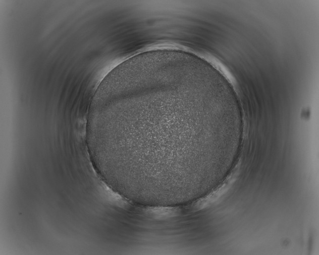 X0000091100953200708201517