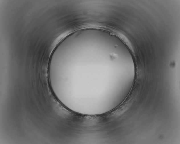 X0000091100954200708201517