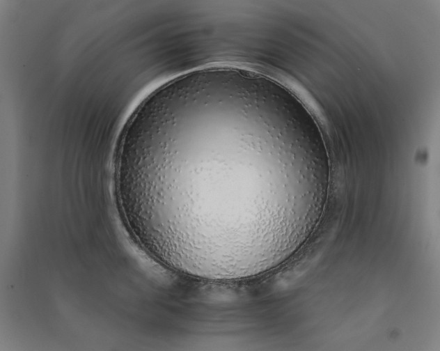 X0000091100955200708201517