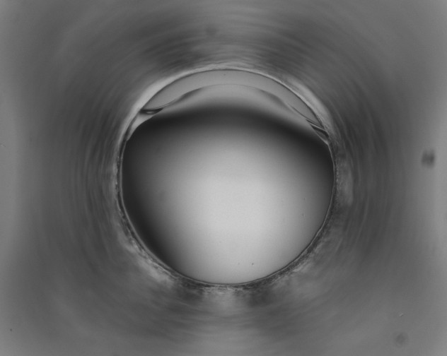 X0000091100956200708201517