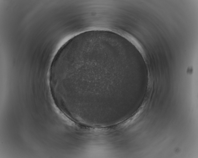 X0000091100958200708201517