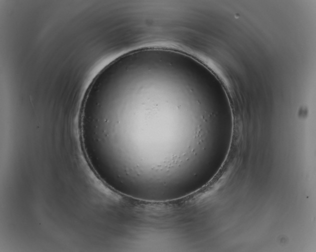 X0000091100959200708201517