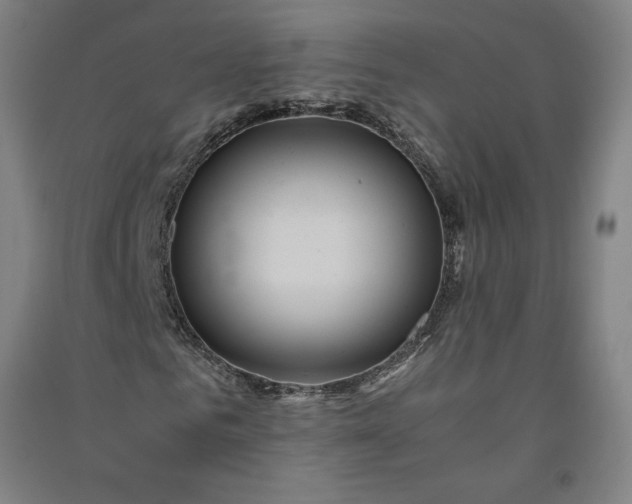 X0000091100961200708201516