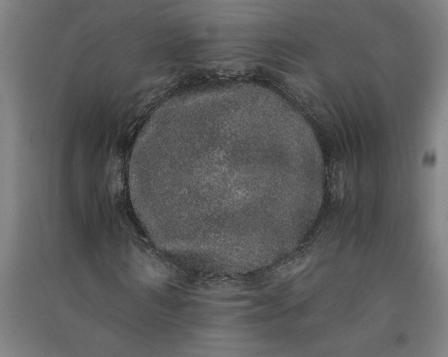 X0000091100962200708201516