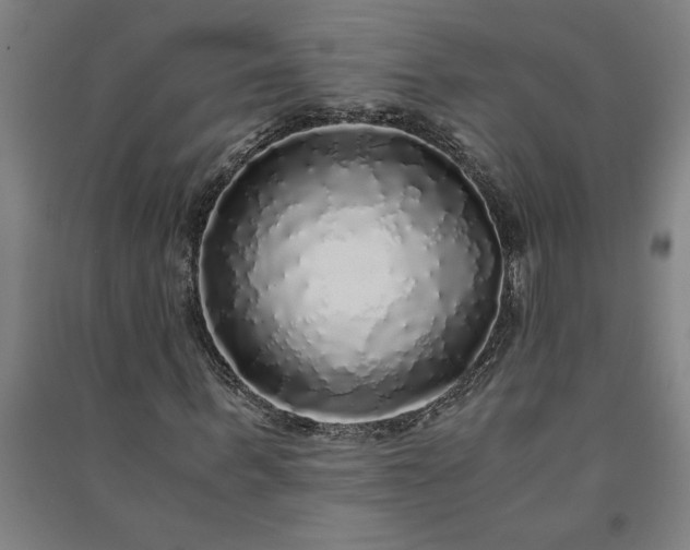 X0000091100963200708201516