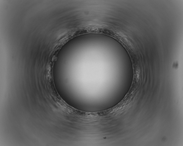 X0000091100964200708201516