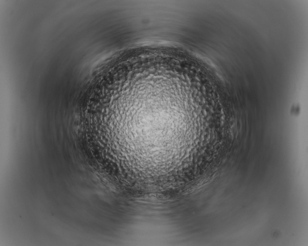 X0000091100966200708201516