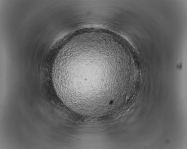 X0000091100967200708201516