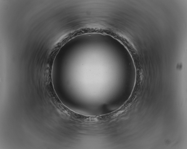 X0000091100968200708201516