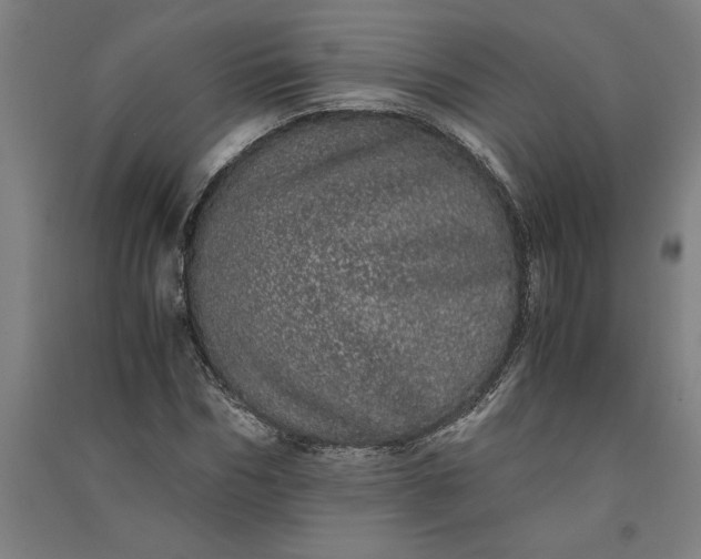 X0000091100970200708201516