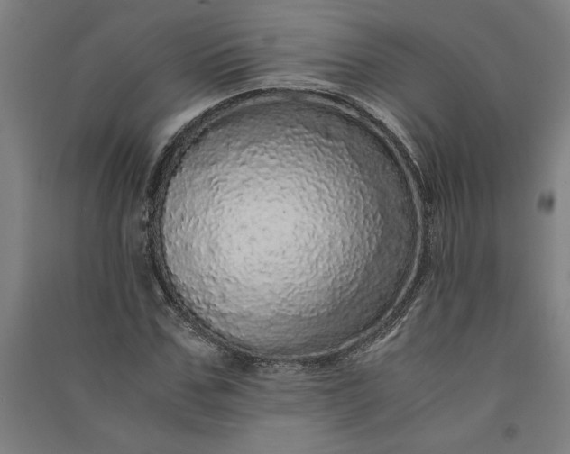 X0000091100971200708201516