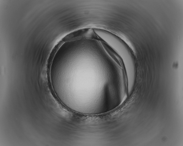 X0000091100972200708201516