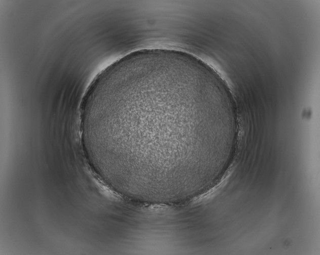 X0000091100974200708201516