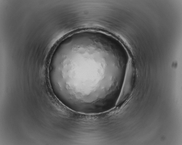 X0000091100975200708201516