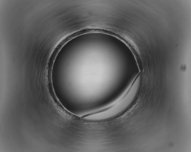 X0000091100976200708201516