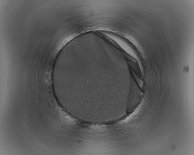 X0000091100977200708201516