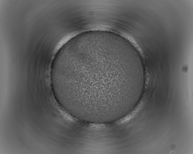 X0000091100978200708201516