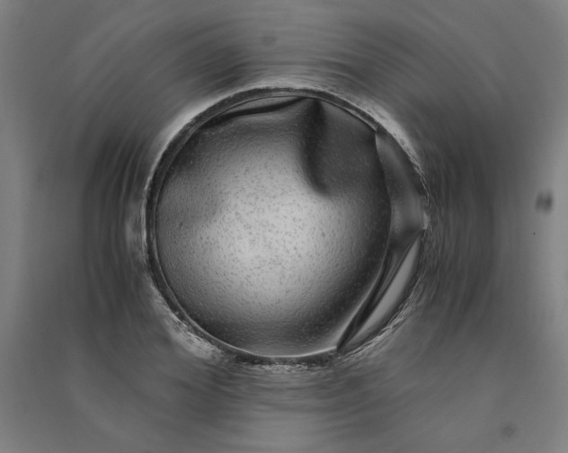 X0000091100980200708201516